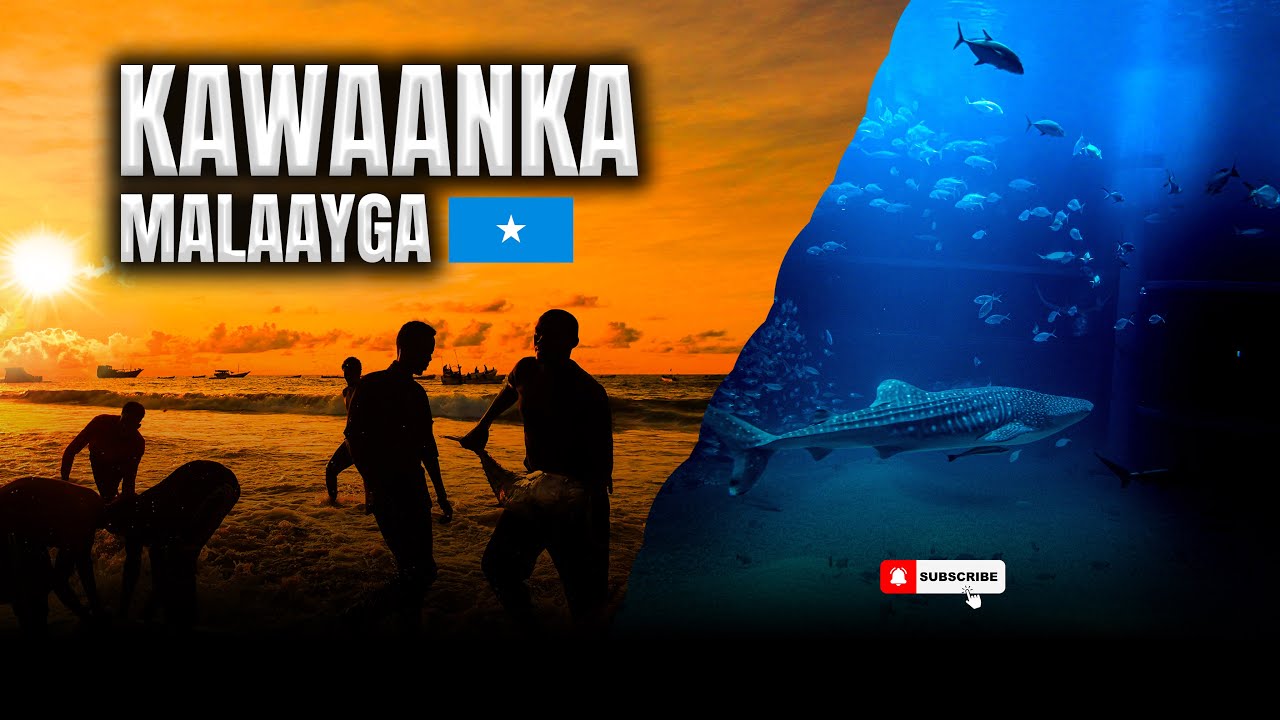 GUDAHA KAWAANKA MALAAYGA XEEBTA LIIDO | Mogadishu 2025