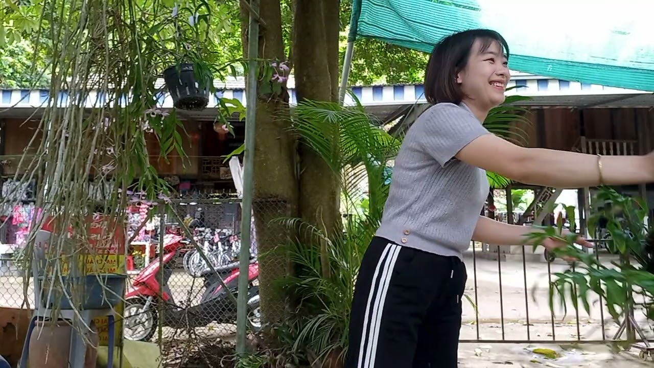 25/2/2026  C&Ocirc; GI&Aacute;O V&Ugrave;NG CAO B&Aacute;N LAN RỪNG GI&Aacute; RẺ 0364773794 @ PHONG LAN RỪNG H&Ograve;A B&Igrave;NH 
