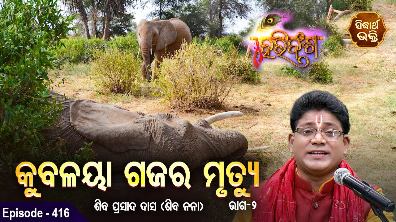 HARI BANSHA PURANA - ହରିବଂଶ | EP - 416 | କୁବଳୟା ଗଜର ମୃତ୍ୟୁ | Siba Nana | SIDHARTH BHAKTI