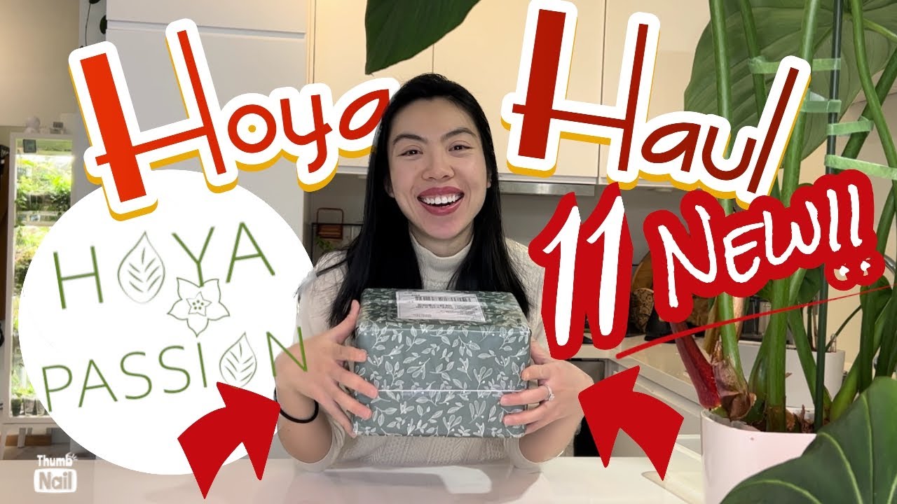 (📣НОВЫЕ 11 ХОЙЯ и специальное объявление!) Распаковка Hoya Passion | Список желаний, Опушённые, Мелколистные