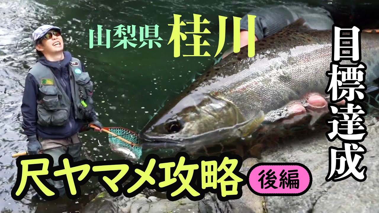 【後編】山梨県桂川～尺ヤマメ攻略 「アユパターン攻略法解説＆尺ヤマメを釣る！」