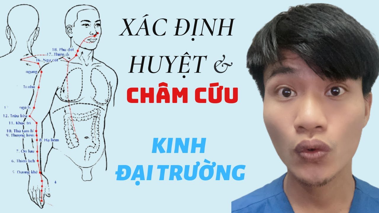 Thủ dương minh đại trường kinh - Xác định huyệt | Bs Ân