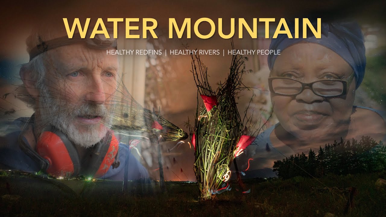 Water Mountain | The source of Cape Town’s drinking water (Documentary)
