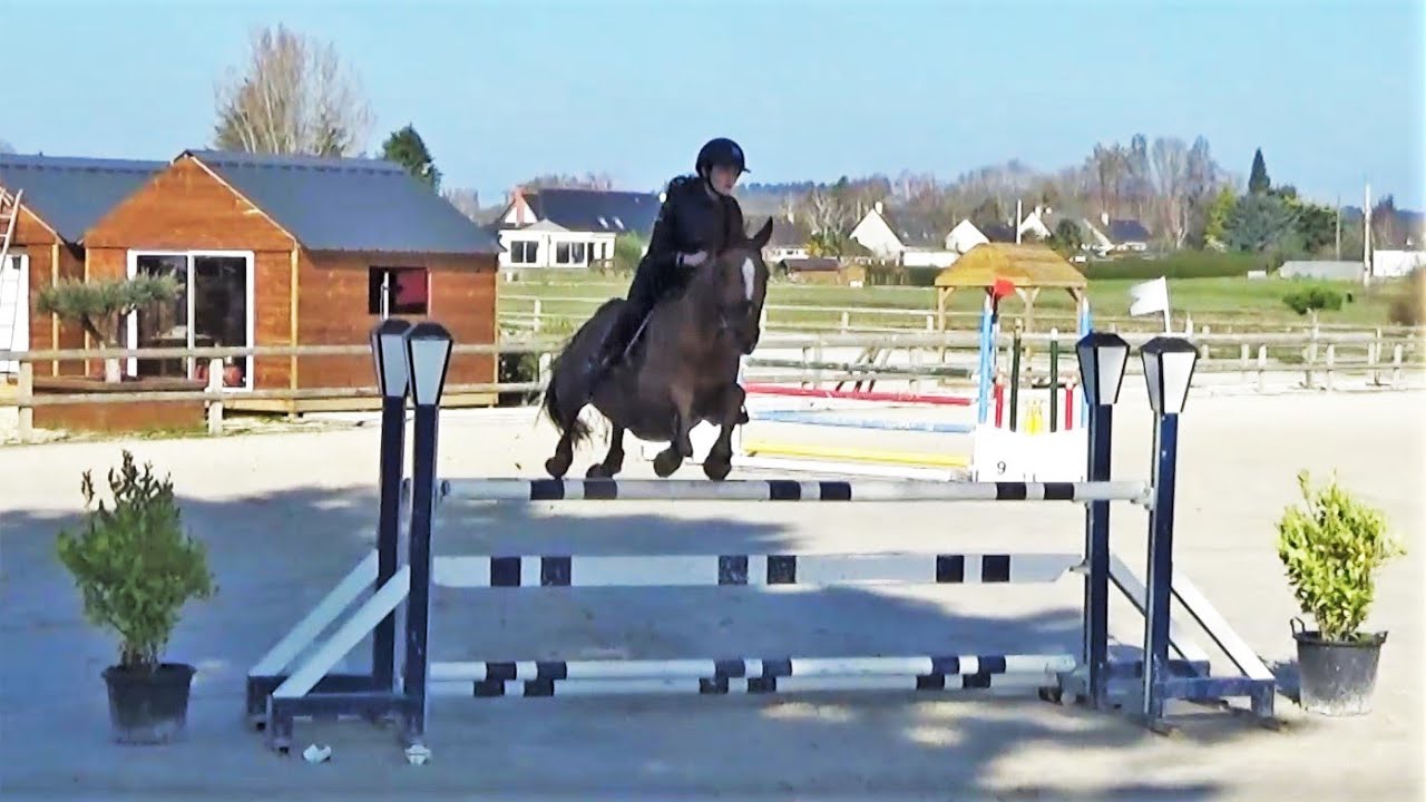■ 12/02/2021 - Concours Entraînement - Espace Equestre Angers Corné - CSO - Clara Maitre