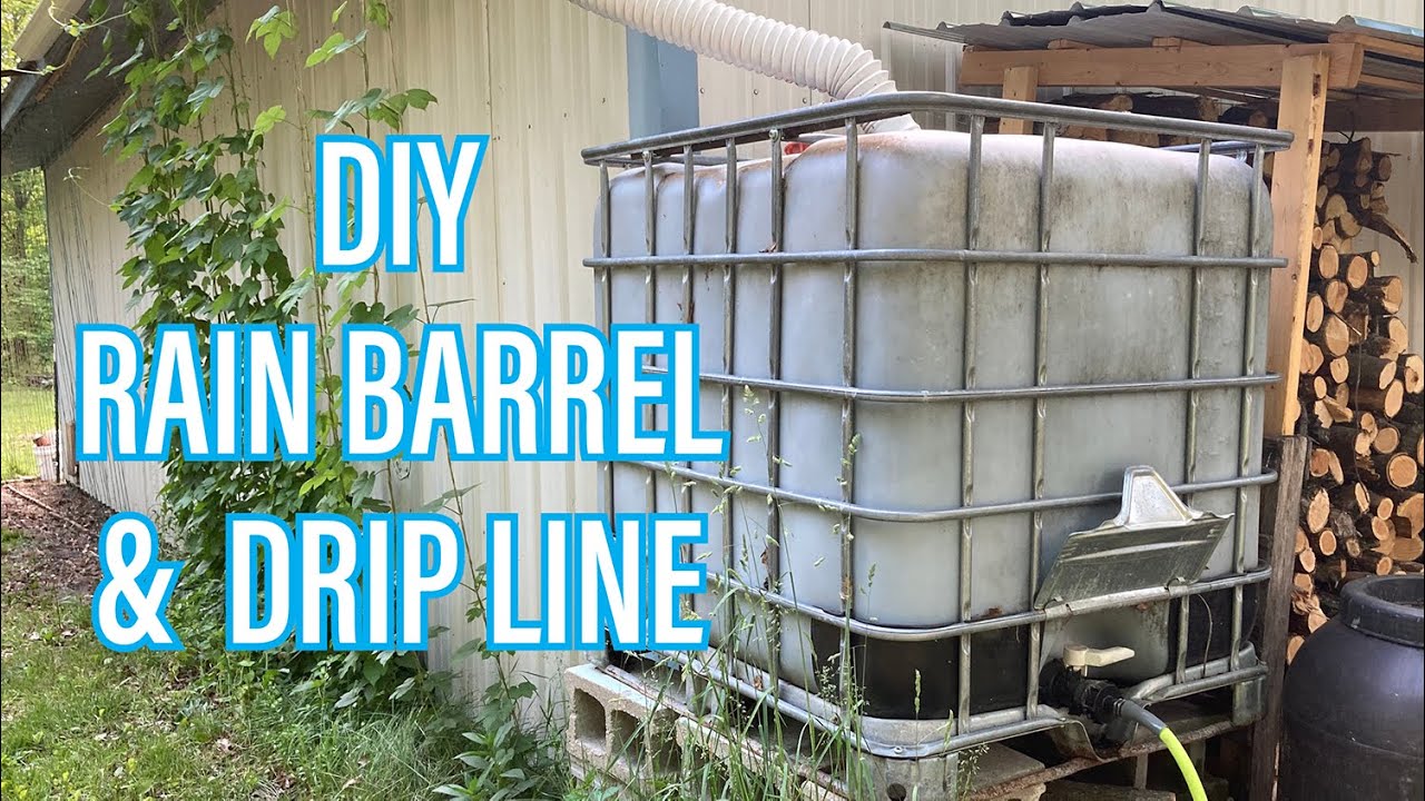 D.I.Y. Rain Barrel and DRIP LINE