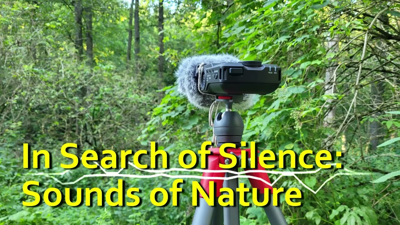 Dźwięki Natury: Świerszcze i Jeleń | Nature's Symphony: Crickets & Deer