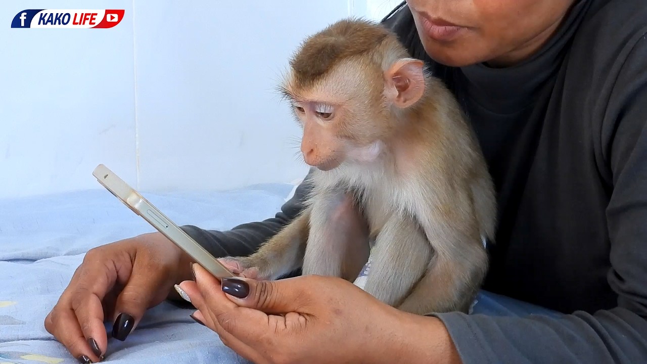 Adorable Valen With Grandma Watching Smartphone Together
