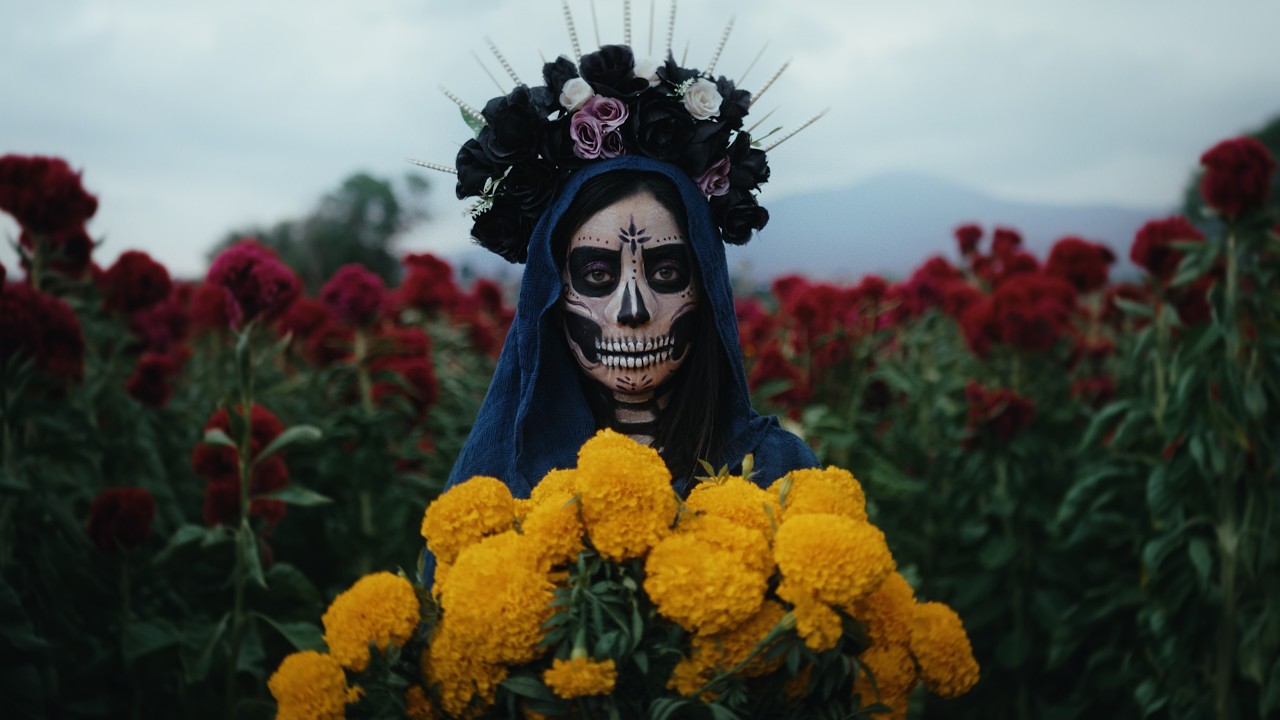 Niklas Paschburg - Oaxaca De Ju&aacute;rez (Official Music Video)