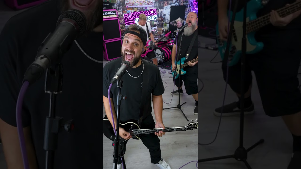 Bluey!! #bluey #punkcover #poppunk