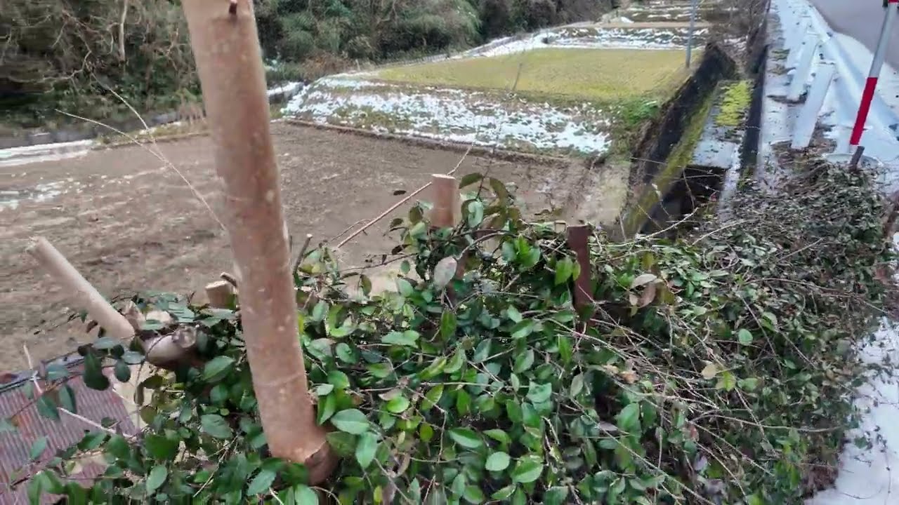 🌈日本昔ばなしの様な景色❓🌈消えゆく❓日本の風景の様子🌈文化の新陳代謝なのだろうか❓🌈チャネル登録４０９御礼記念　(⌒∇⌒　　💖🎶🎶