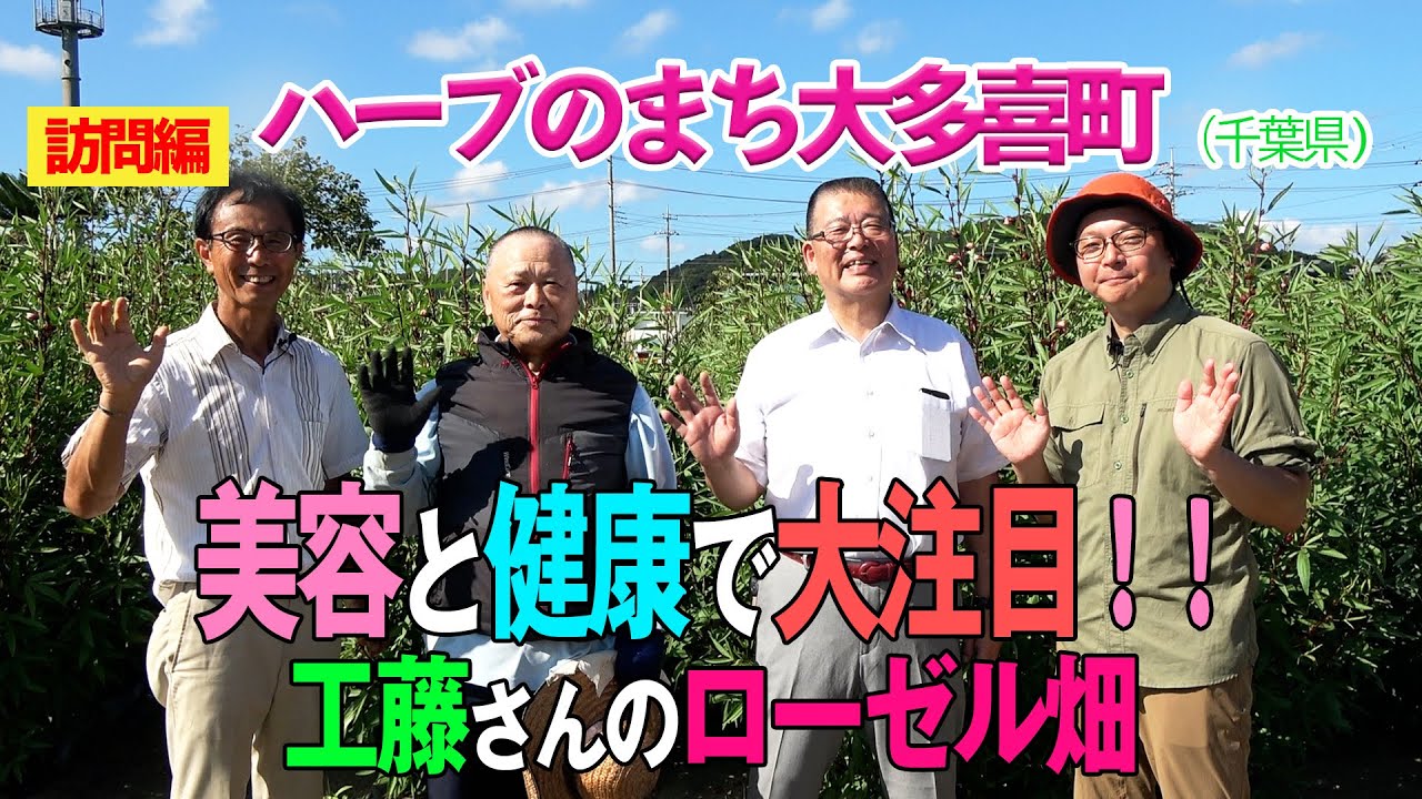 美容と健康で大注目！！工藤さんのローゼル畑（ハーブのまち大多喜町）～ガーデンドクターTV139