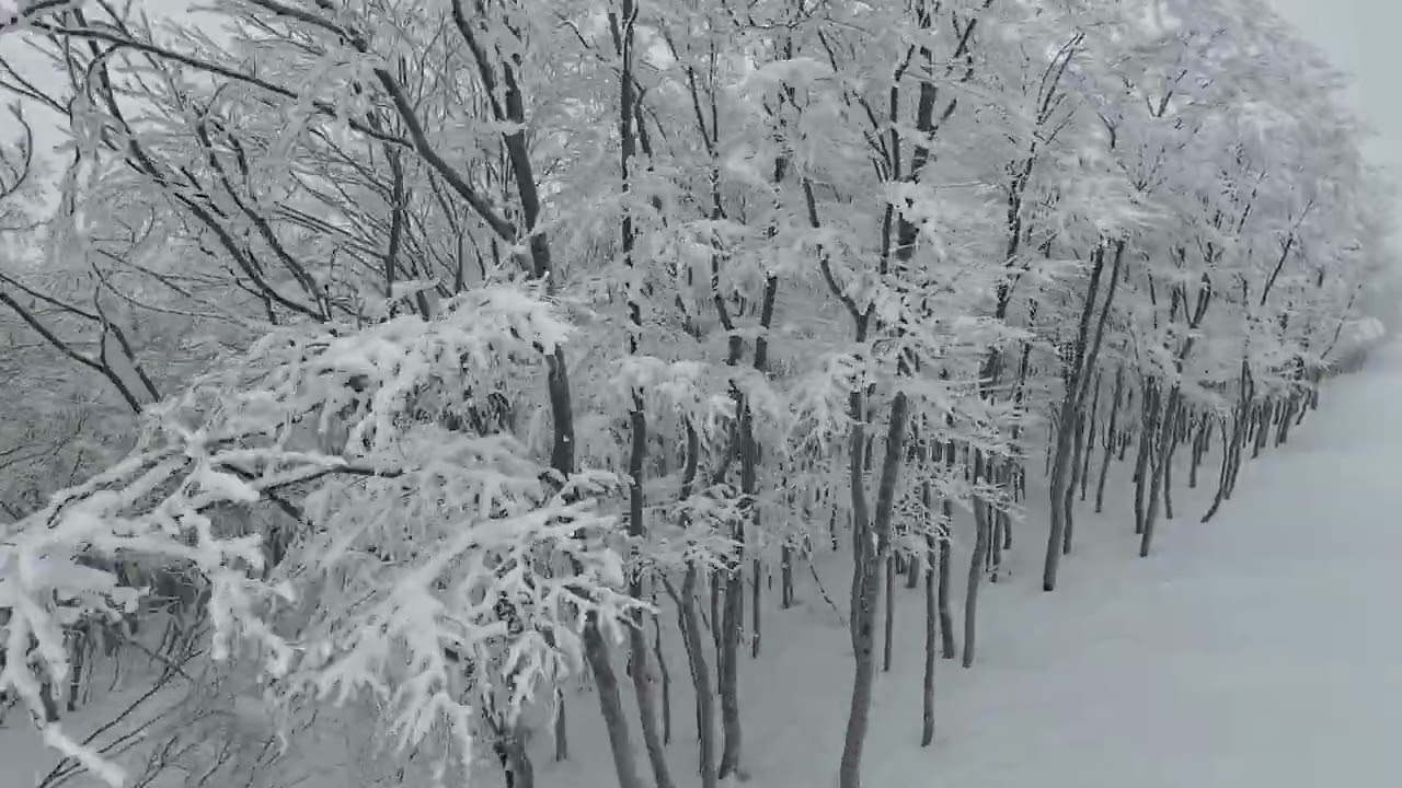 DJI 20260123104640 0019 D