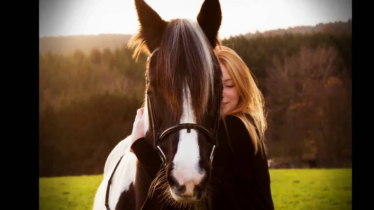 Elderberry Photography: Pferdeshooting mit Paulina