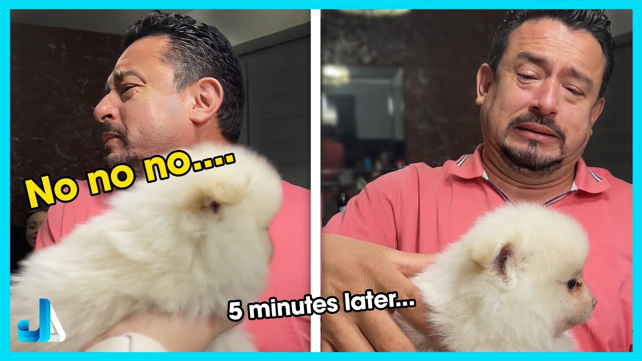 When You Bring Home a Puppy Dad Didn't Want 🐶 New Puppy Surprise Compilation