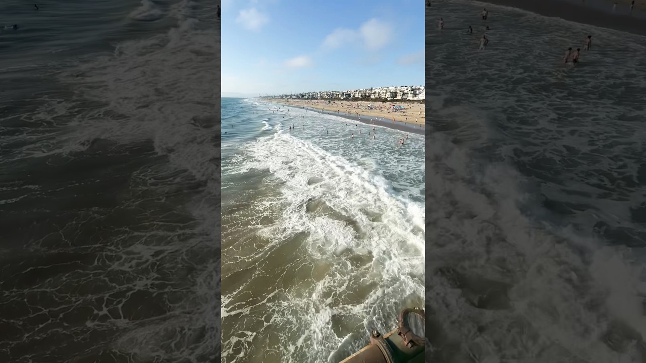 Views from the pier in 