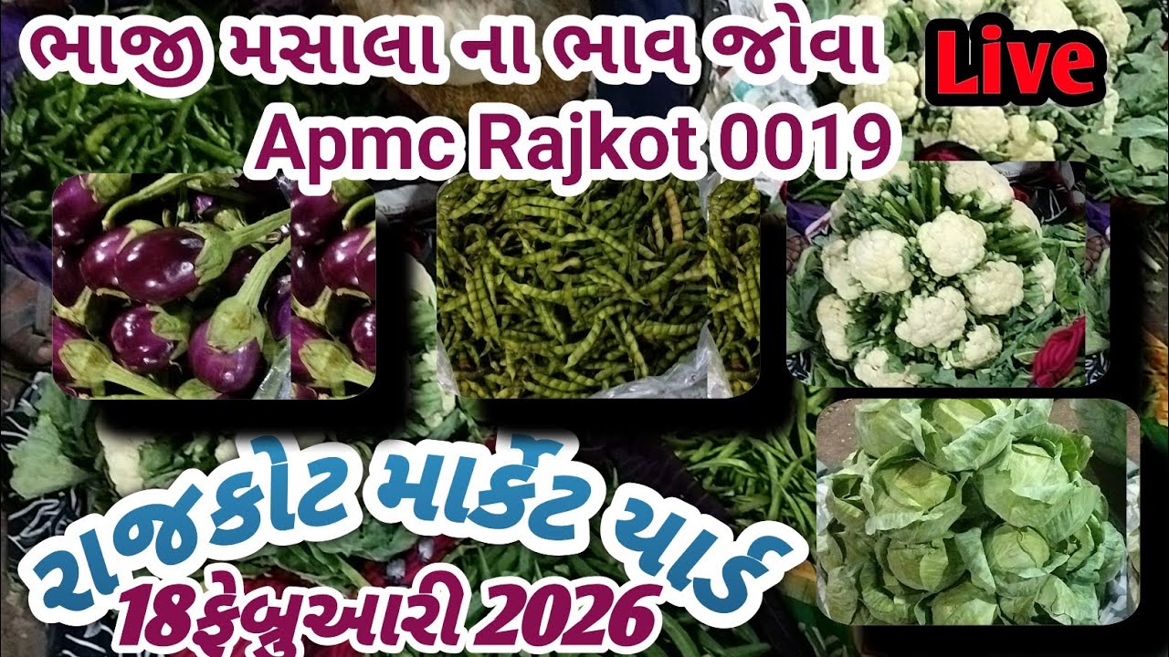 Rajkot market yard 16/02/2026 green vegetable #Rajkot #vegitablemarket 