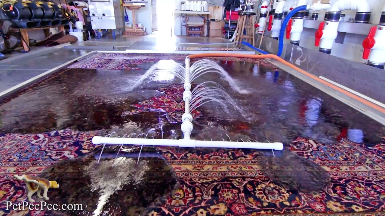 Ask PetPeePee company | THE RUG EXPERT