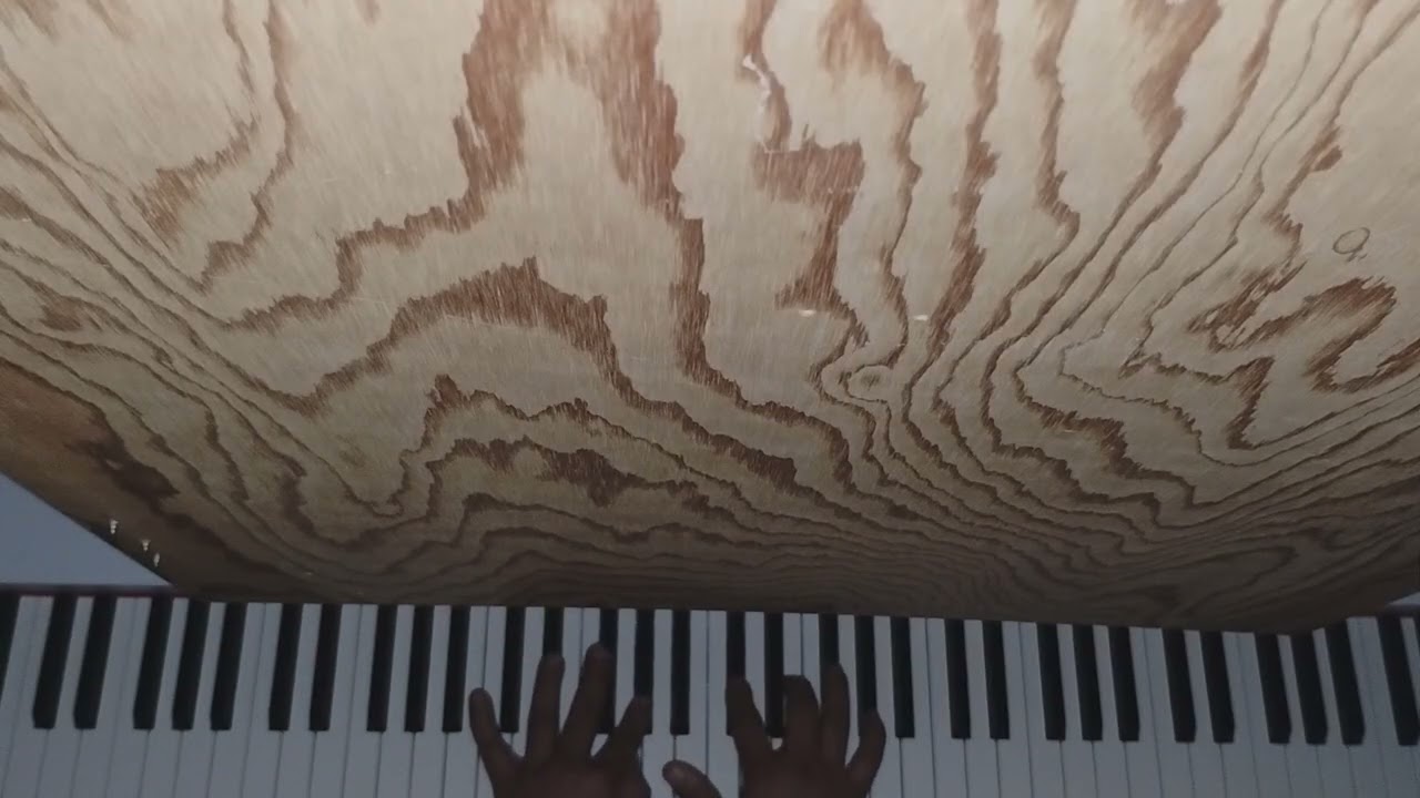  Adagio Sostenuto; Moonlight Sonata, first movement