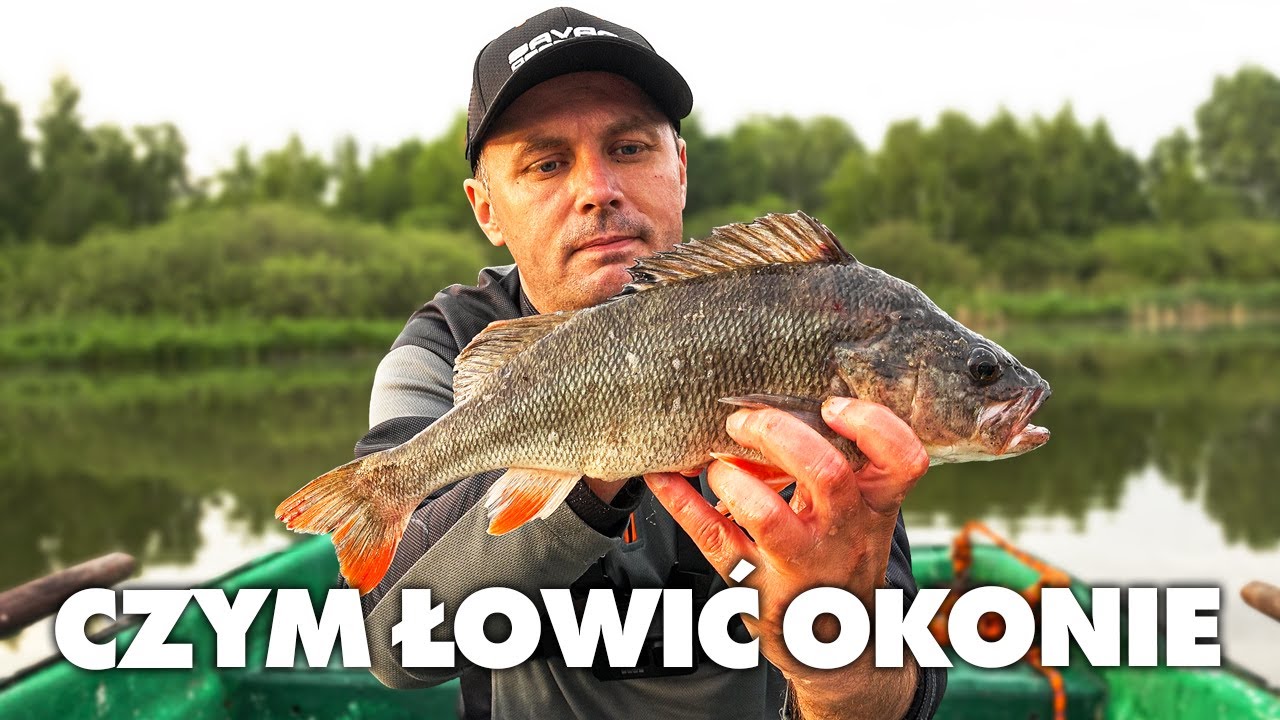 JAK ŁOWIĆ OKONIE z JEZIORA - WĘDKARSTWO