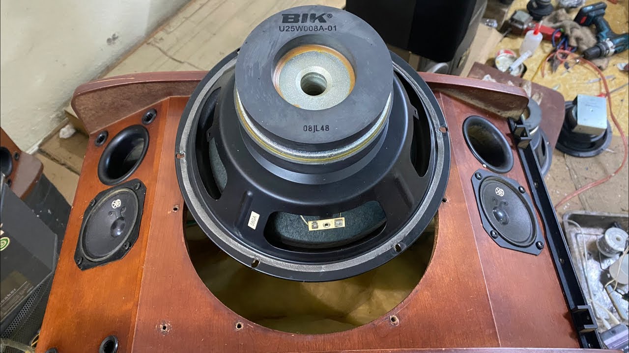 Loa Nhật bãi 25 BIK BS.880 giá rẻ như rau. Zalo.0986.488.986 #xuanaudio #loabai #loanhatbai