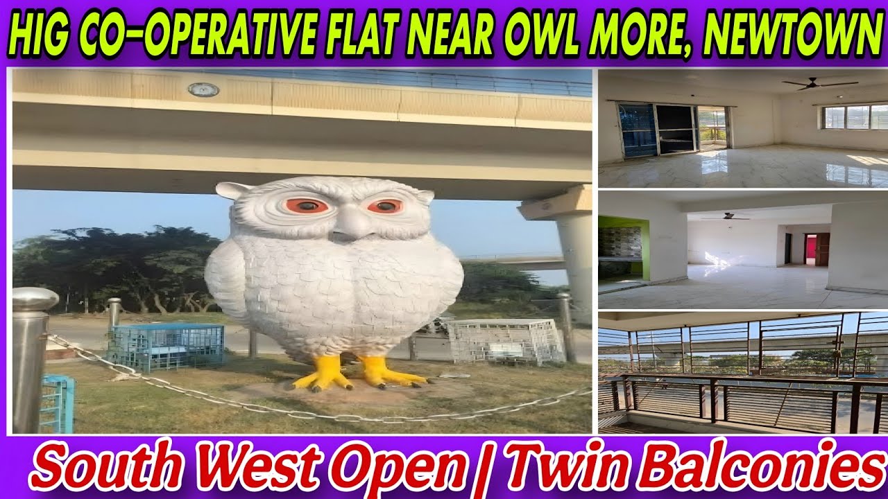 🌿 Bright & Airy HIG Flat | Owl More, Newtown | flats in newtown kolkata