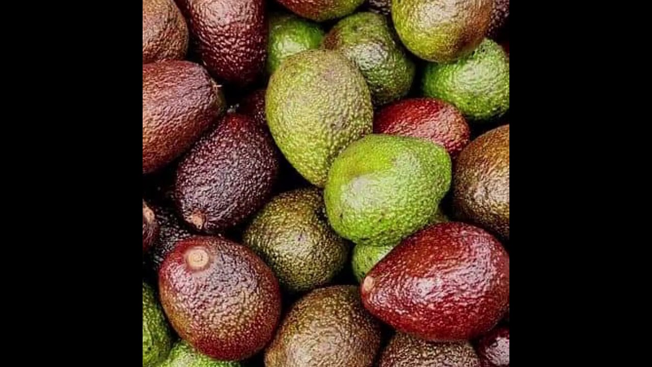 የምርት መጠንና ጥራት በአንድ ነገር ብቻ አይቀንስም ወይም አይጨምርም ስለሆነም ድምር ምክንያቶቹ ምንድ ናቸው?