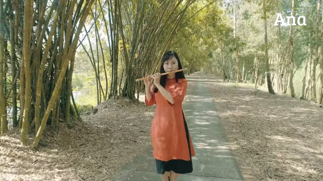 Village in Vietnam - Boujour VietNam - Hello Vietnam - Fantasic instrumental music