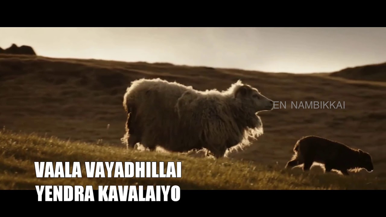 Vaazhavaipaar | Sis. Hema John | En Nambikkai | Tamil Christian