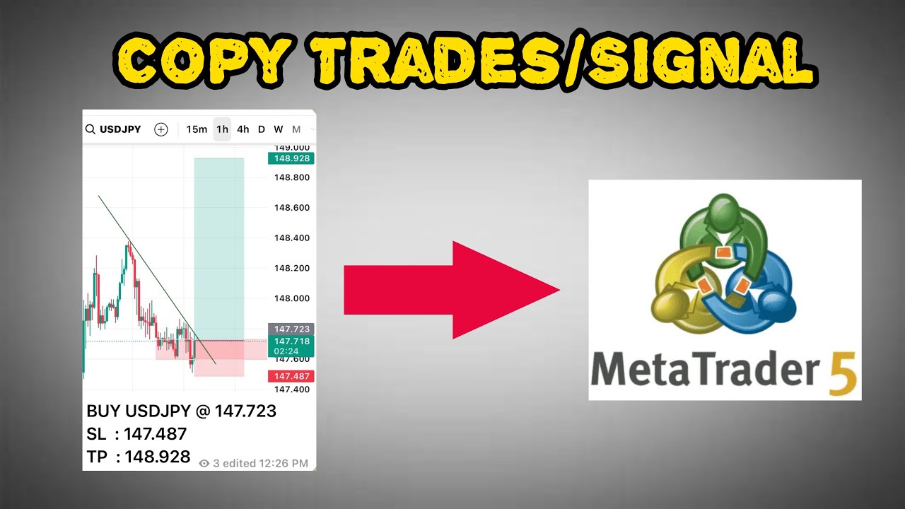 How to Copy Trades/Signals to MetaTrader 5 (MT5) | Step-by-Step Guide