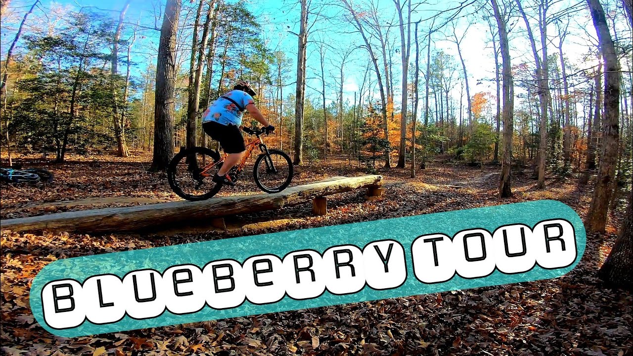 Pocahontas State Park Mountain Bike Trails: Blueberry Tour