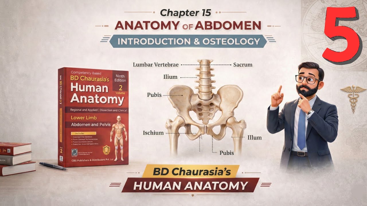 Chapter 15 – Introduction & Osteology (Part 5) | Abdomen and Pelvis Anatomy Explained