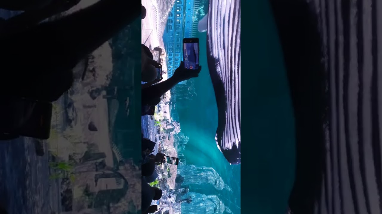 Terasa Di Bawah Laut Jatim Park 2 KWB