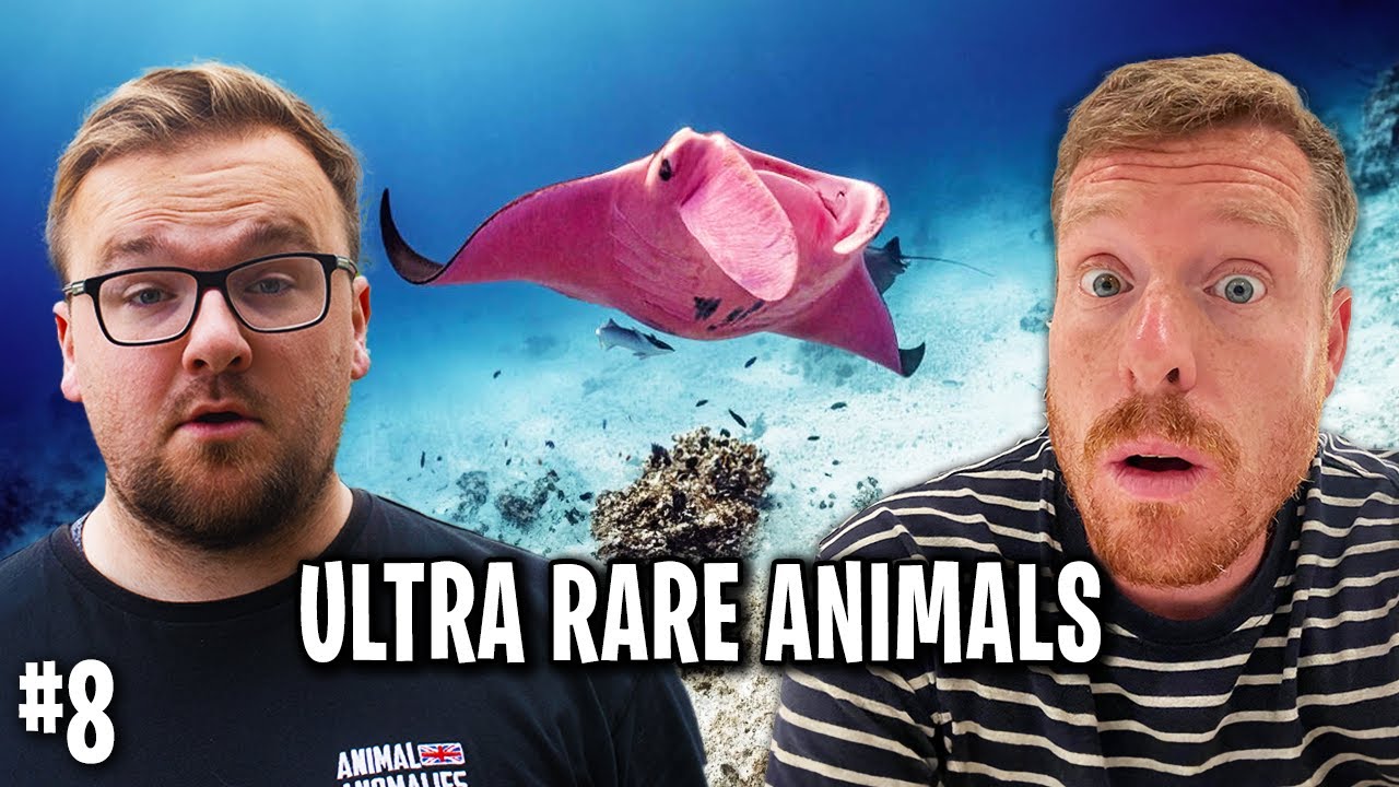 These Are The World's Rarest Animals - Animal Anomalies Ep. 8