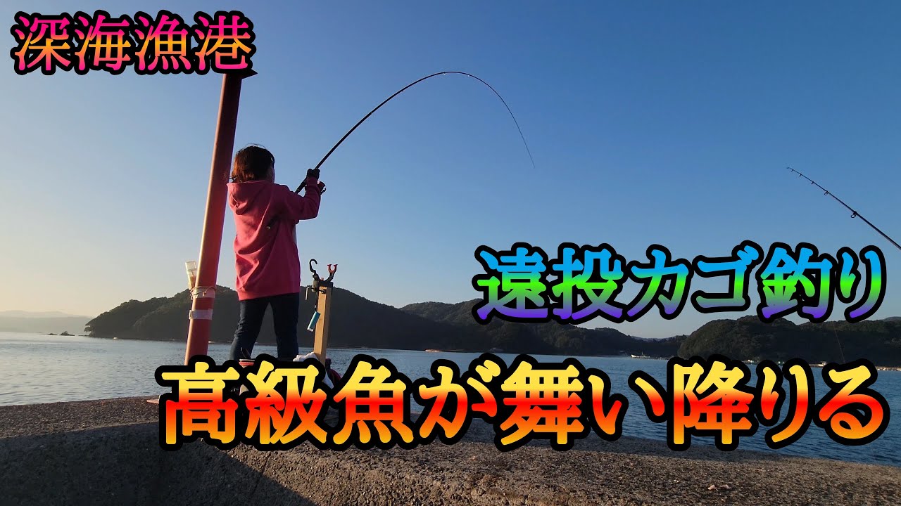 [天草市 深海町 深海漁港] カゴ釣りでまさかの高級魚！！