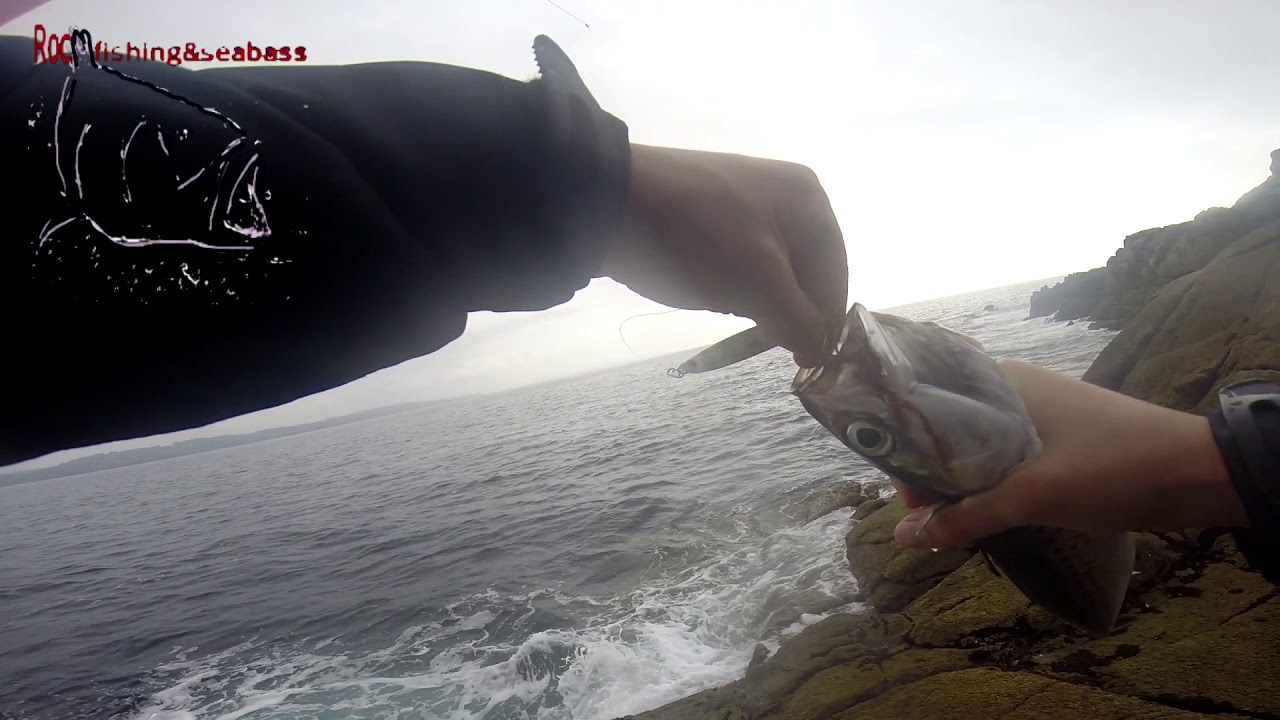 PESCANDO A SHORE JIGGING CABALLAS Y LUBINA