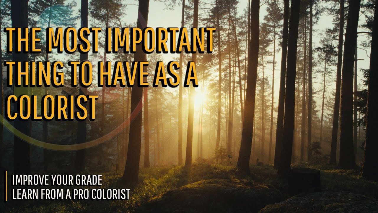 What you need to succeed as a colorist