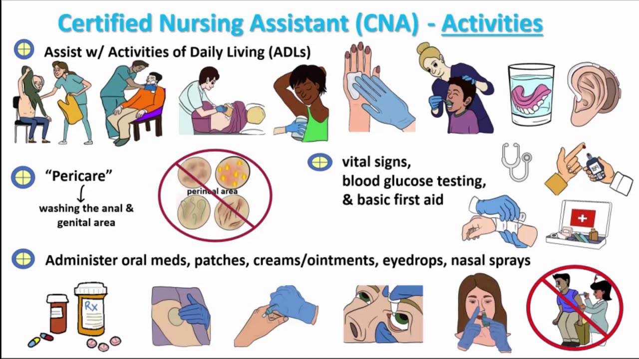 Clinical Experience for Pre-PA & Pre-Med Students