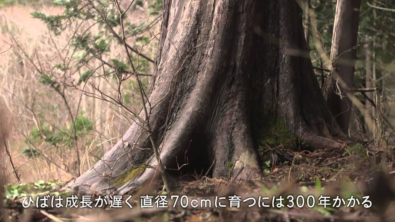 Green story vol.50　青森ひば