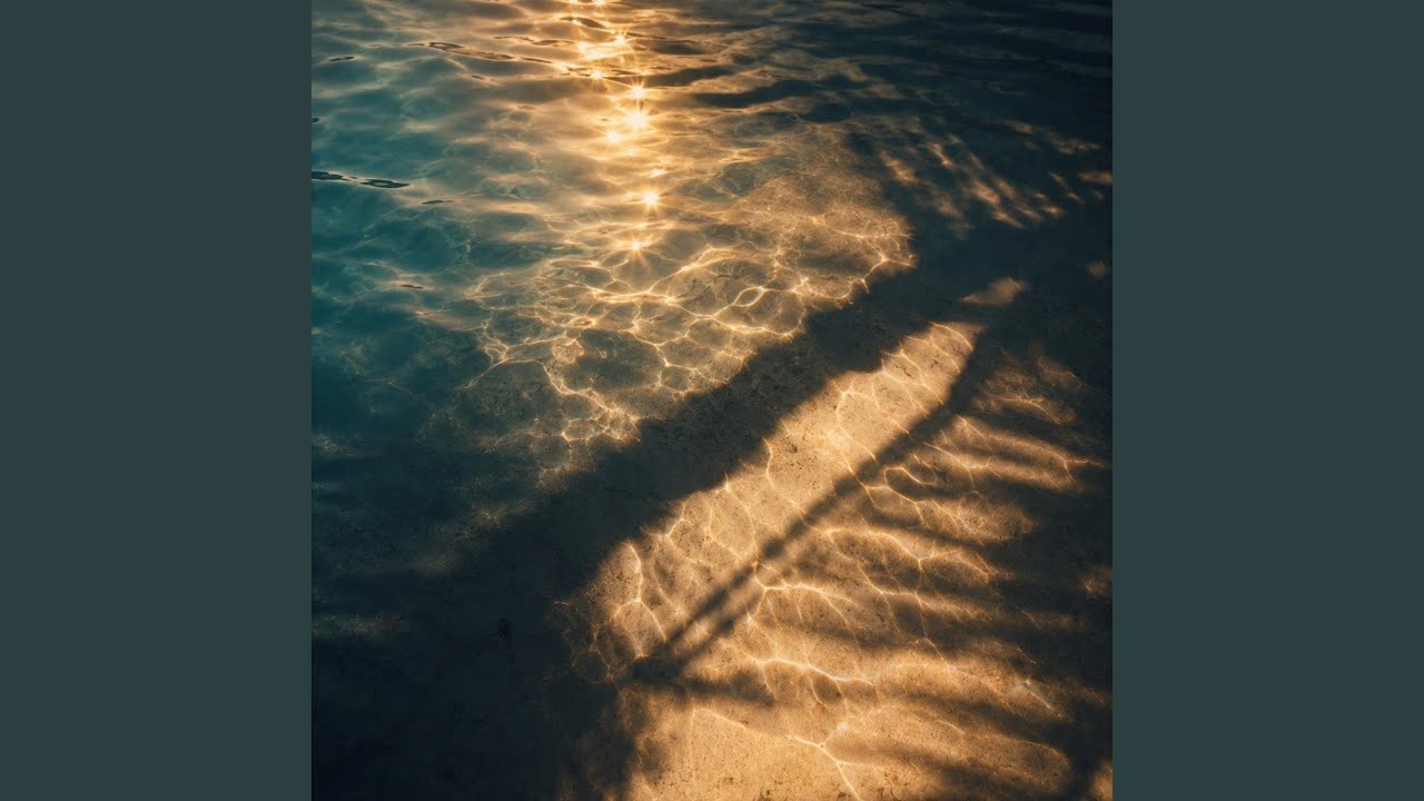 Sun Drenched