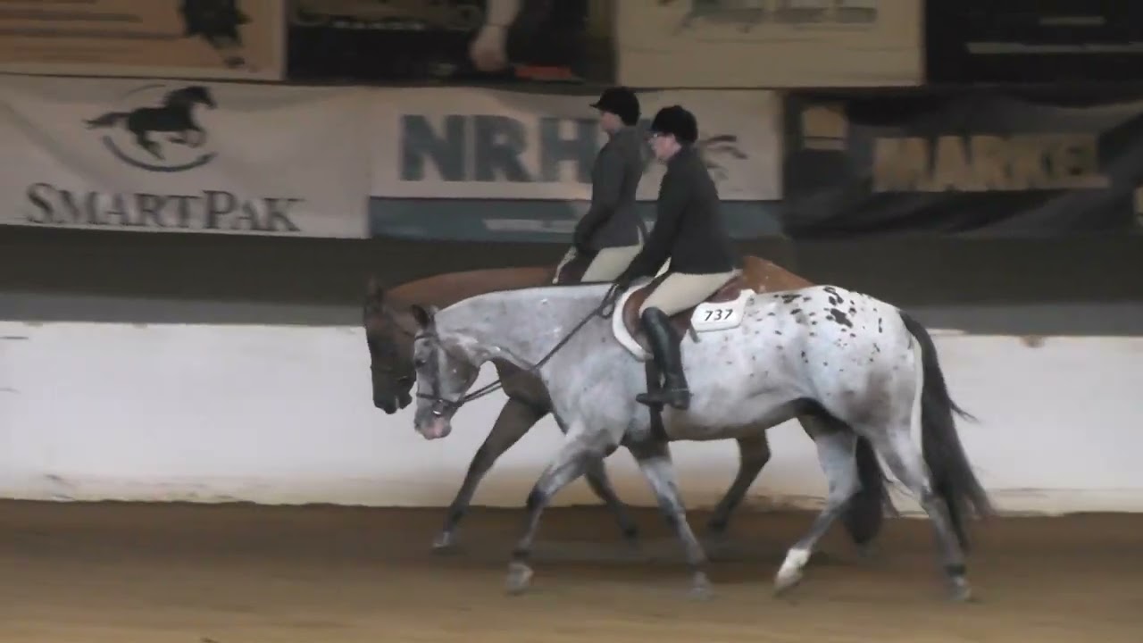 2023 08 13 Chloe's NP Hunter Under Saddle Part 2