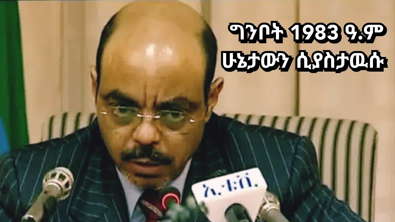 Prime Minister Meles Zenawi Remembers The Situation of May 1991