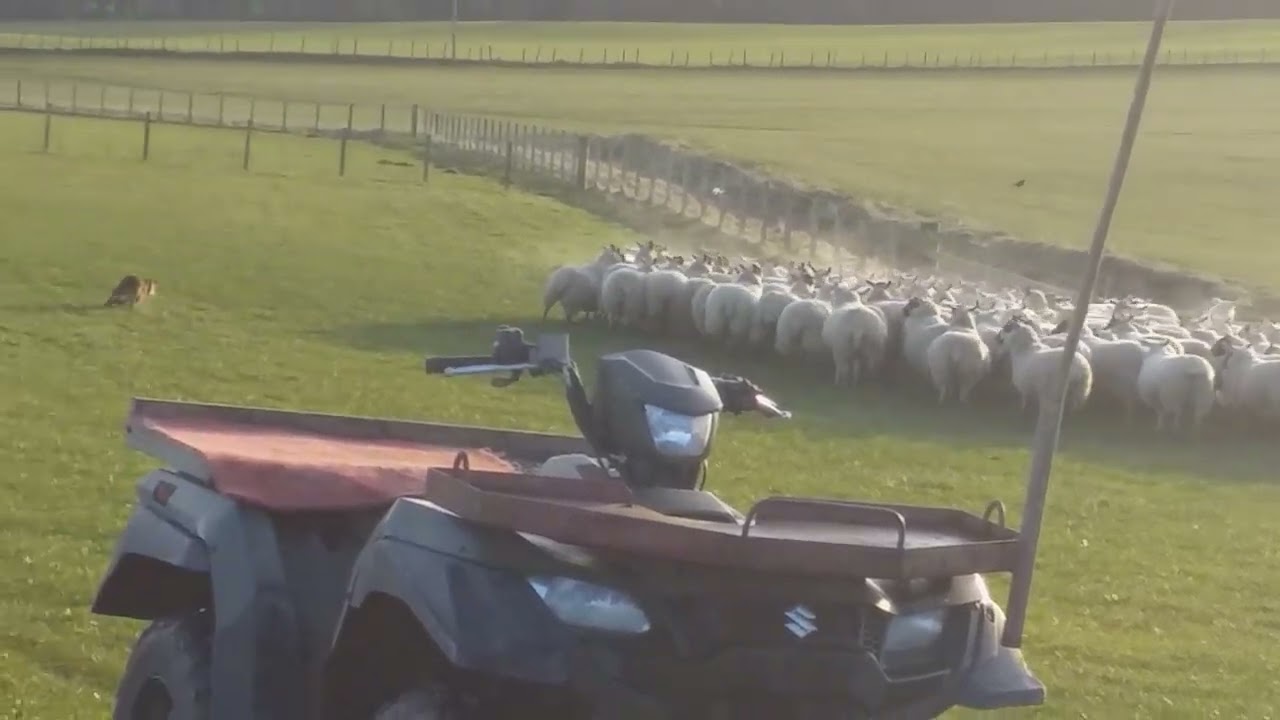 G Simpson - Carlo -  Skipton 12th March 24