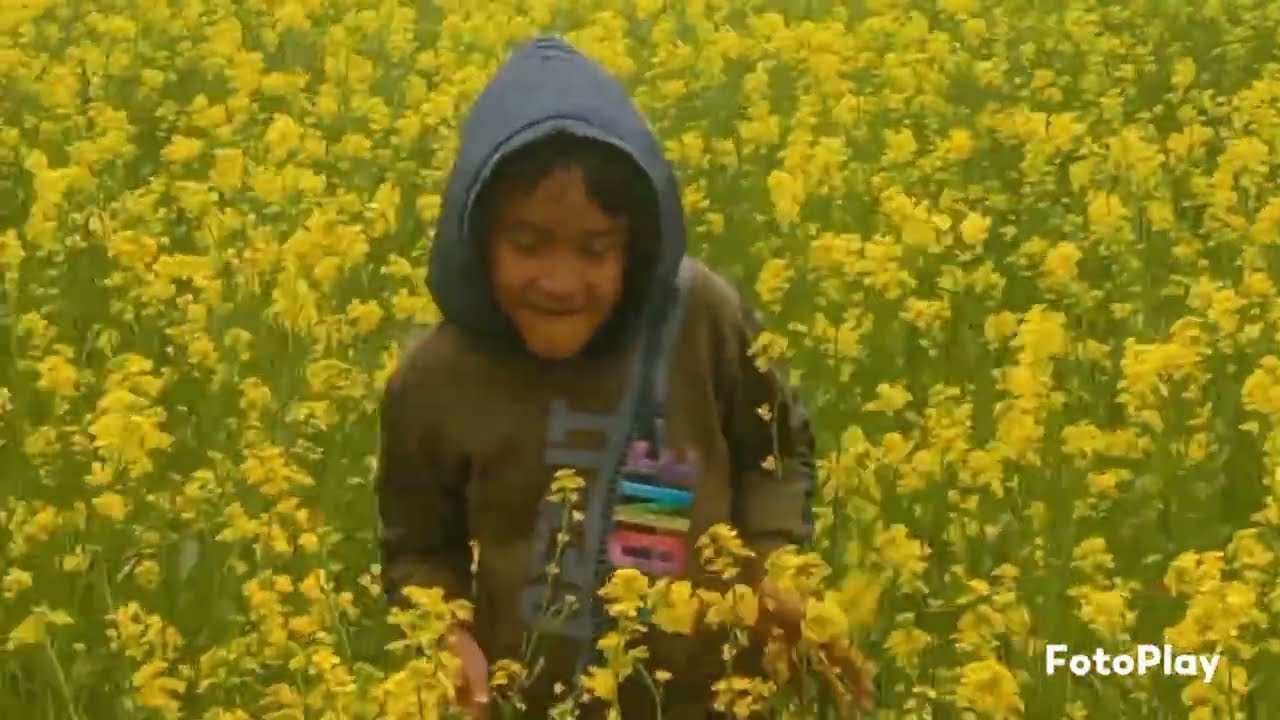 Sarson ke kheton ka Babu ki Masti gaon ka drishya
