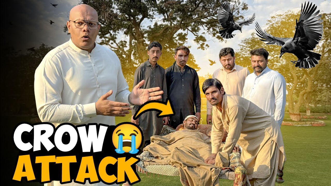 Crow Ne Attack Kar Diya 😱🐦‍⬛ | Malli Ka Sir Phat Gaya 💔 | BT Farm Stories