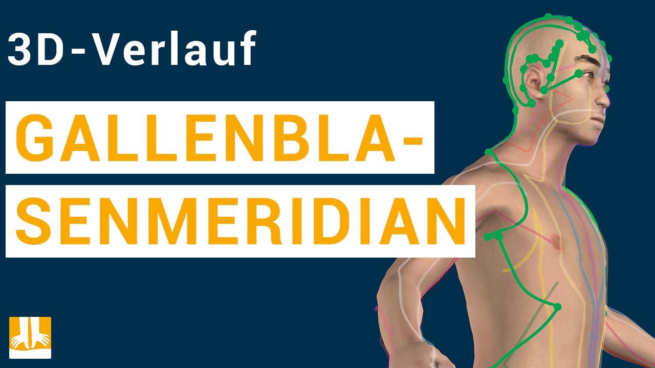 Der Gallenblasenmeridian - 3D-Verlauf von Punkt zu Punkt