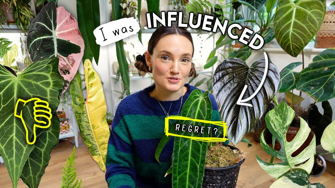 Worth It?? Social Media INFLUENCED Me... 🌿