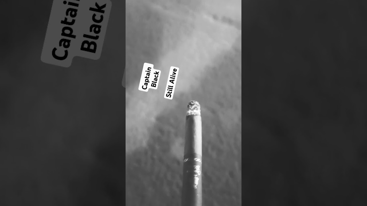 Captain Black Cigars &ndash; Timeless Smoke, Classic Taste! 🔥🚬