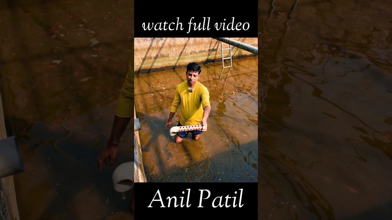 ANIL PATIL FISH FARM #aquaculture #fish
