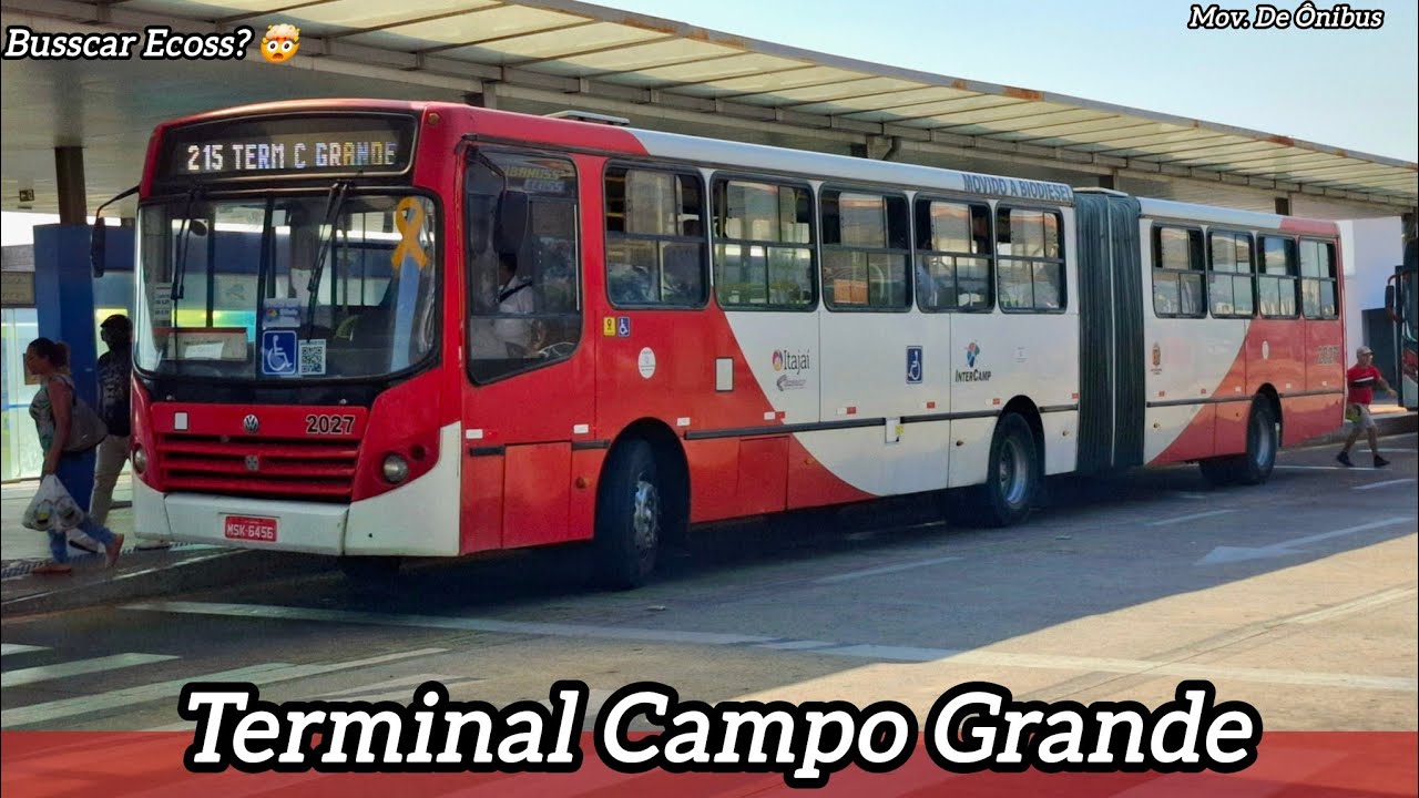 Term. Campo Grande | Movimentação de Ônibus #81