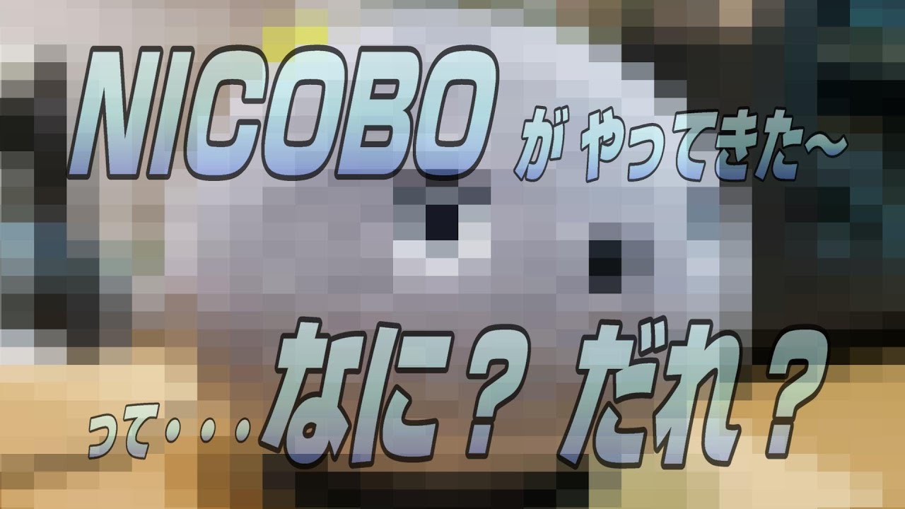 NICOBO？がやってきた～って誰？①開封の儀